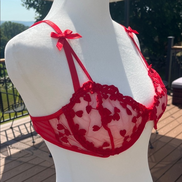 Red Sheer Mesh Bra with Heart Embroidery | Y2K Lingerie Aesthetic | Romantic M - Picture 2 of 4